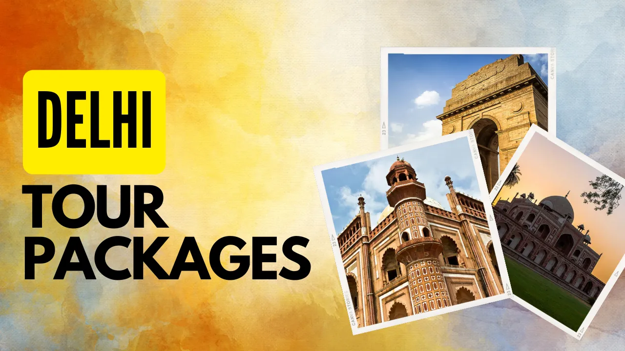 delhi local tour package by bus