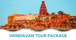 Read more about the article Why Should You Book a Private Vrindavan Taxi Package?